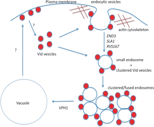 FIGURE 10.