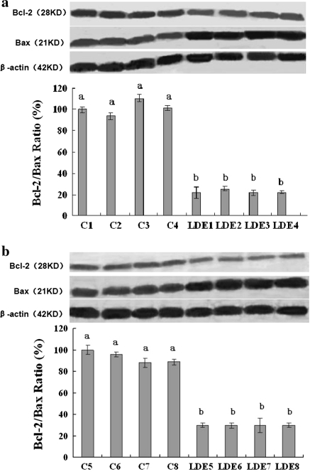 Fig. 4