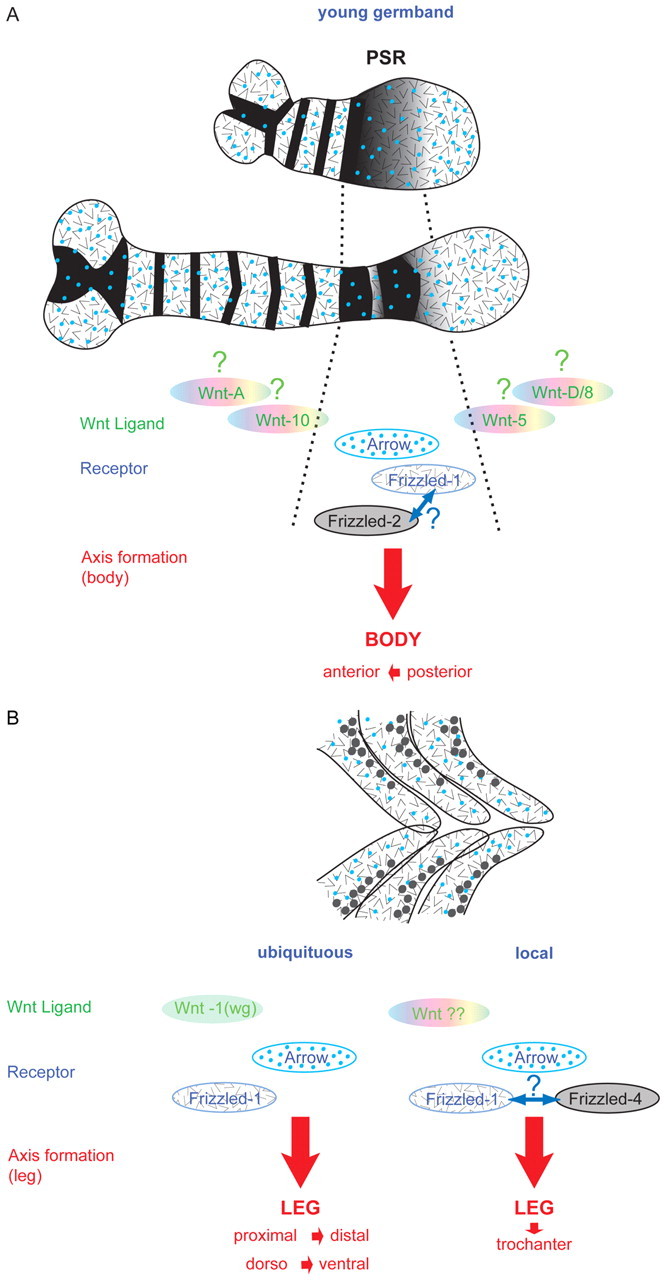 Fig. 8.