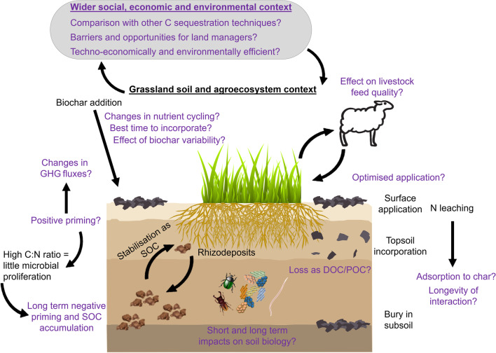 graphic file with name 42773_2023_232_Figa_HTML.jpg