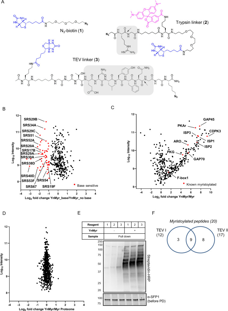 Figure 2—figure supplement 1.