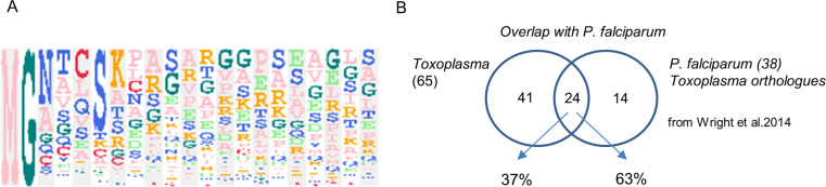 Figure 4—figure supplement 1.