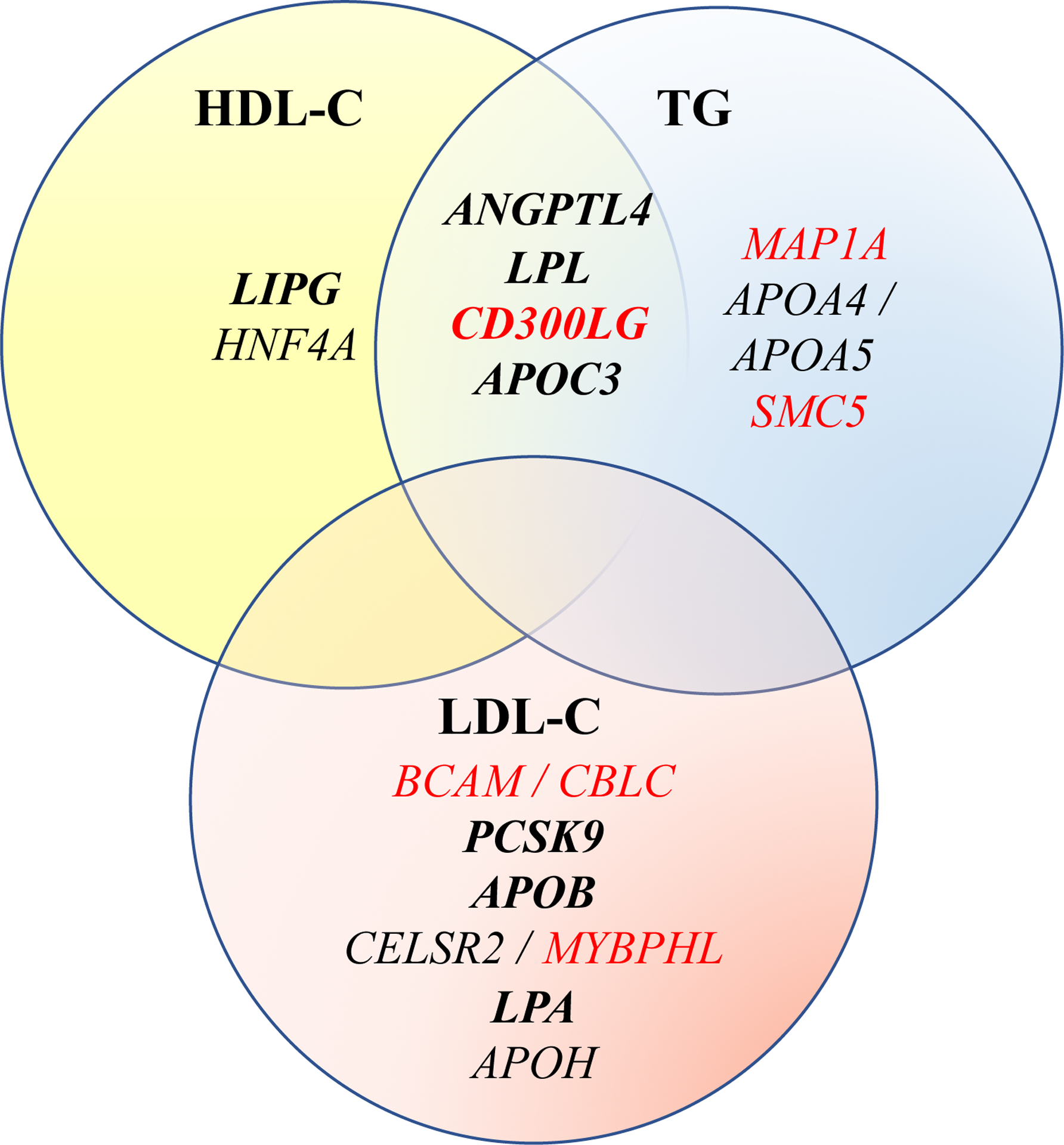 Figure 2.