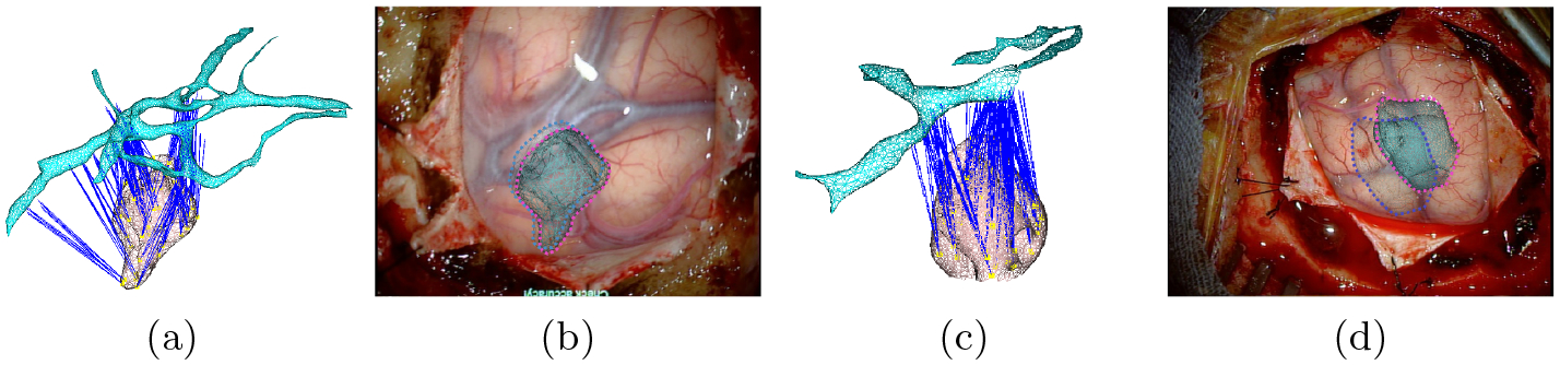 Fig. 6: