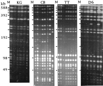 FIG. 1