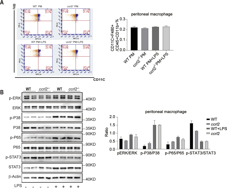 Supplementary figure 5