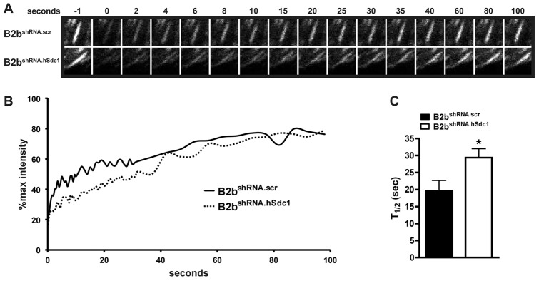 Fig. 3.