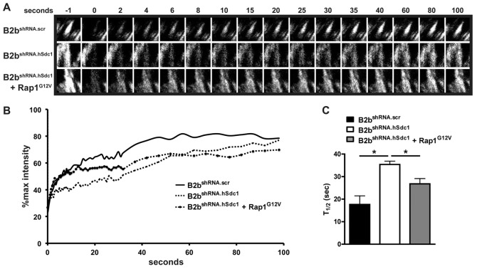 Fig. 6.