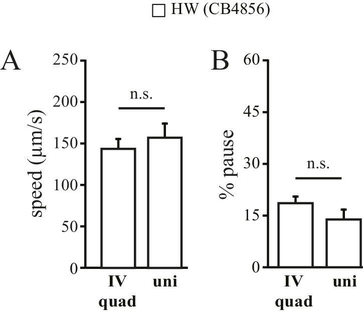 Figure 4—figure supplement 1.