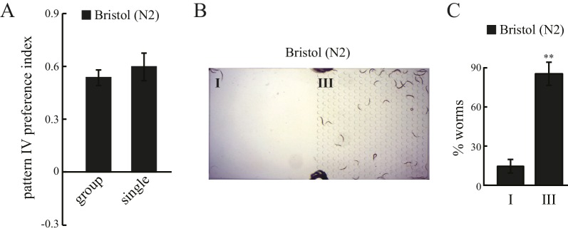 Figure 1—figure supplement 2.