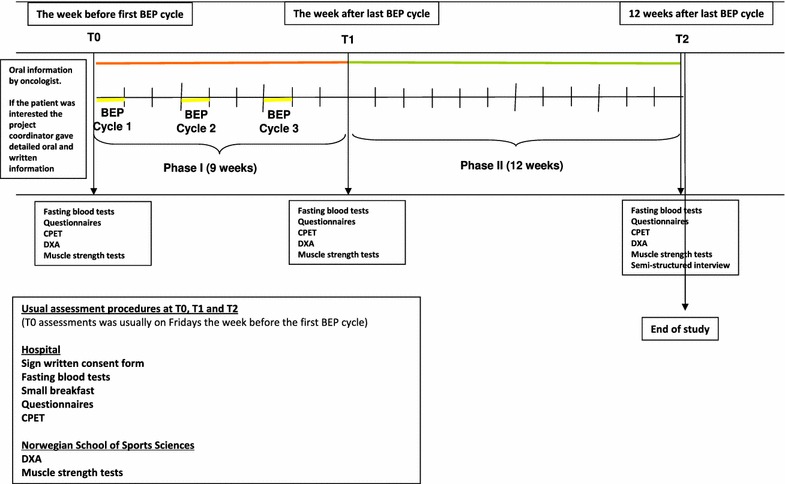 Fig. 1