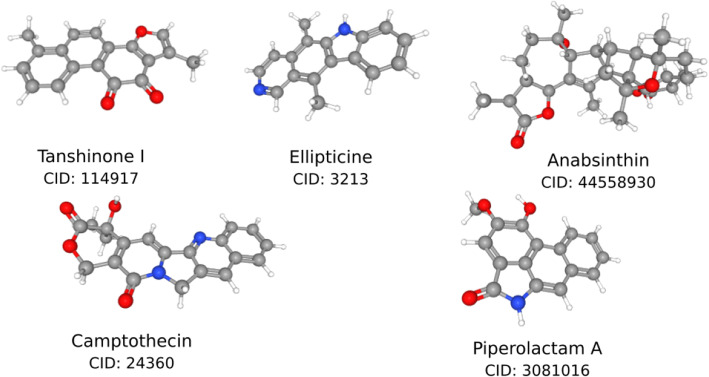 Fig. 2