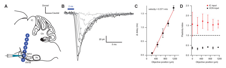 Figure 7—figure supplement 1.