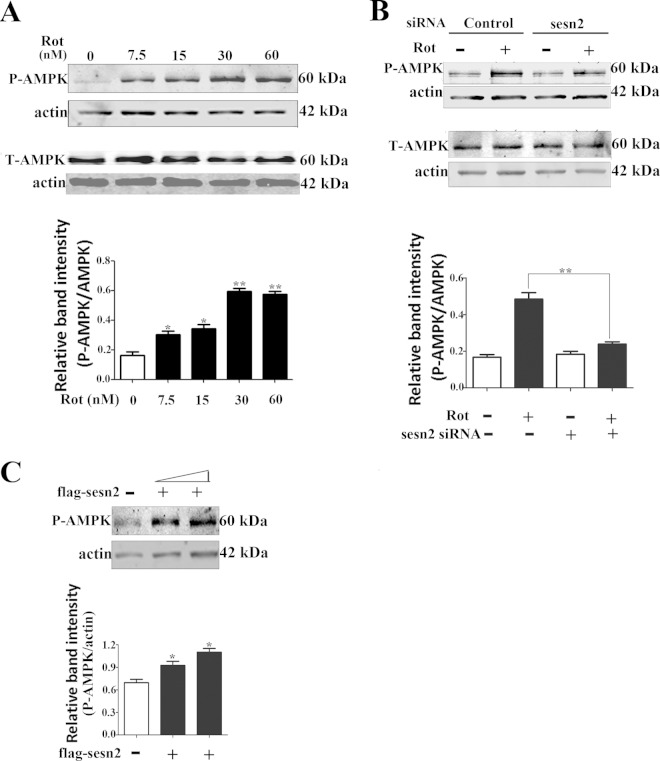 FIG 4