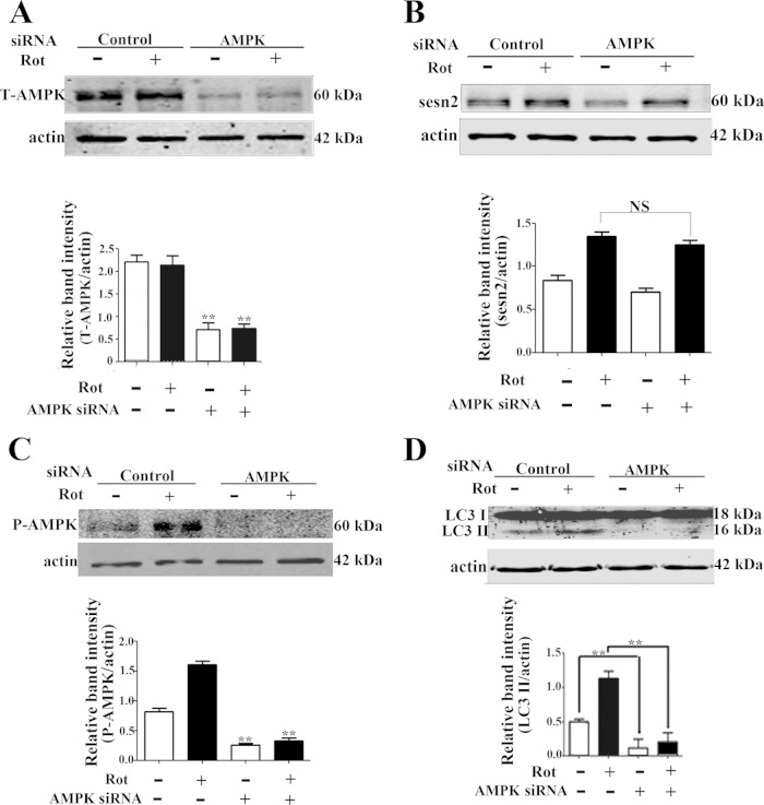 FIG 6