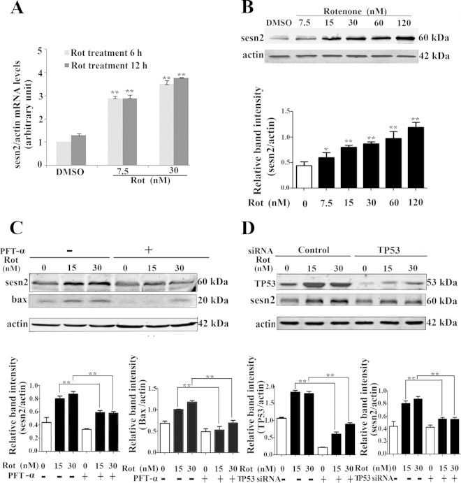 FIG 1