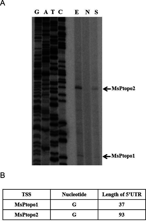 Figure 4.