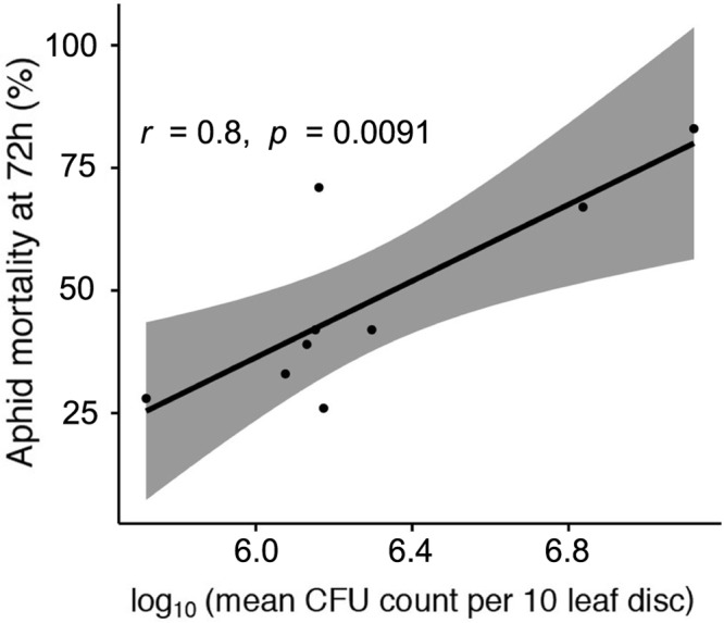 FIGURE 4