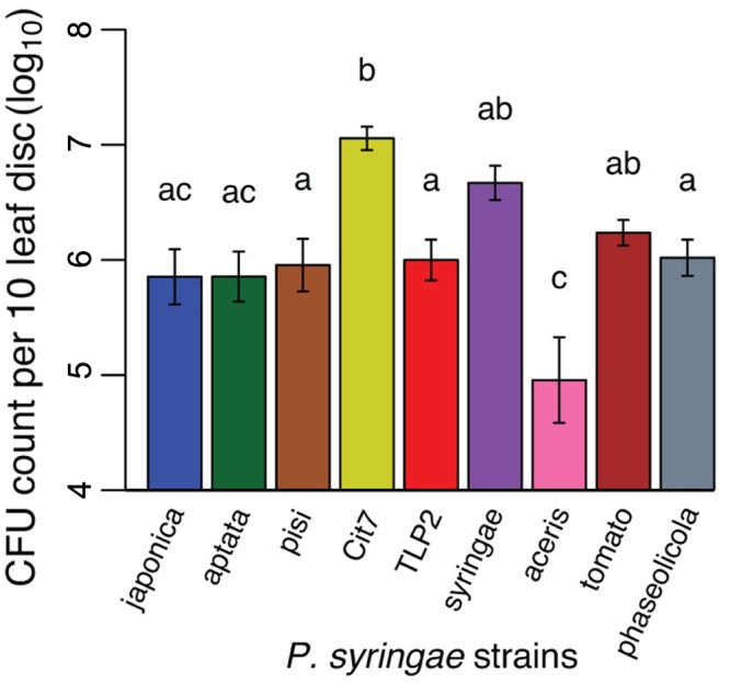 FIGURE 3