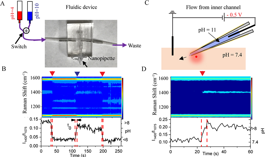 Fig. 3