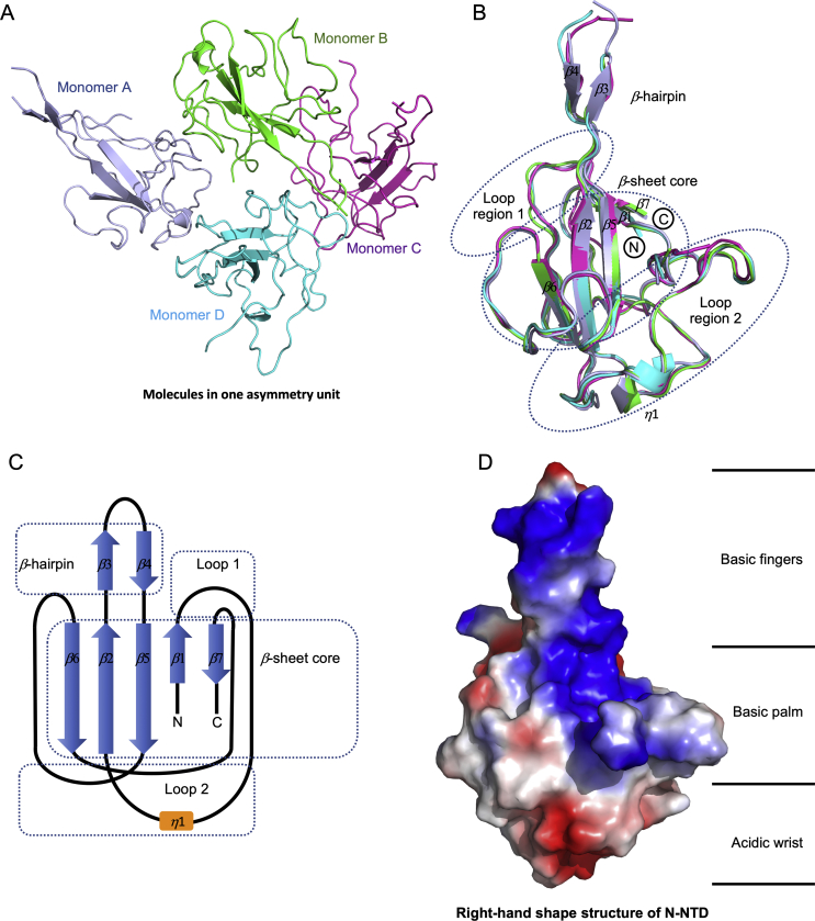 Figure 2