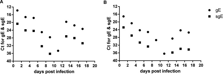 FIG 6