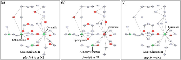 Fig. 4: