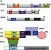 Fig. 4.