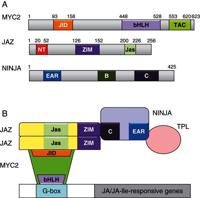 Fig. 4.