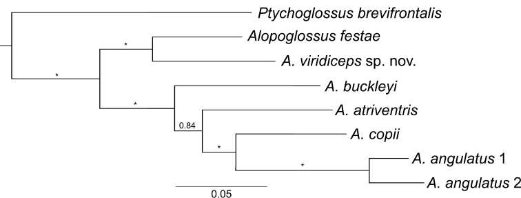 Figure 5.