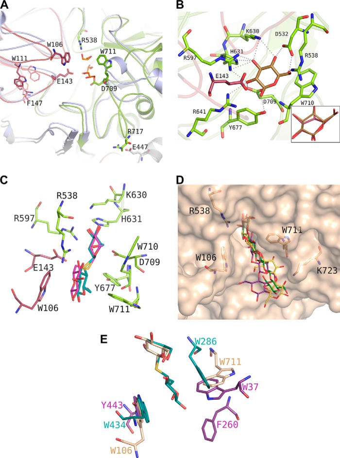 FIGURE 3.