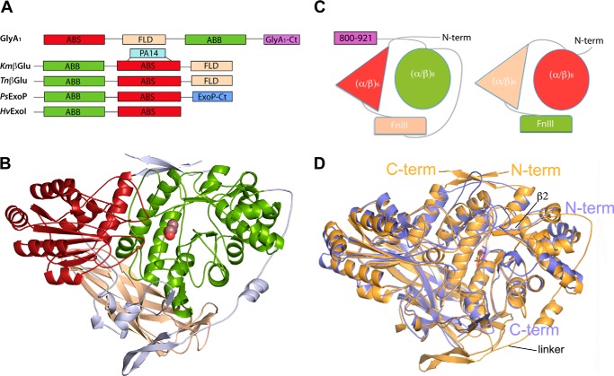 FIGURE 2.