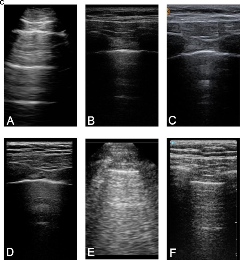 Fig. 4