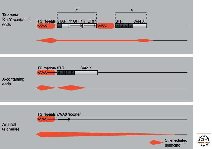 Figure 10.