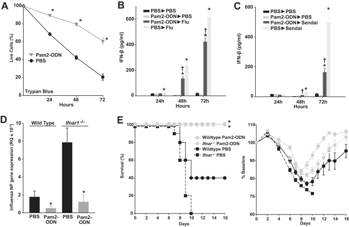 FIG 3 