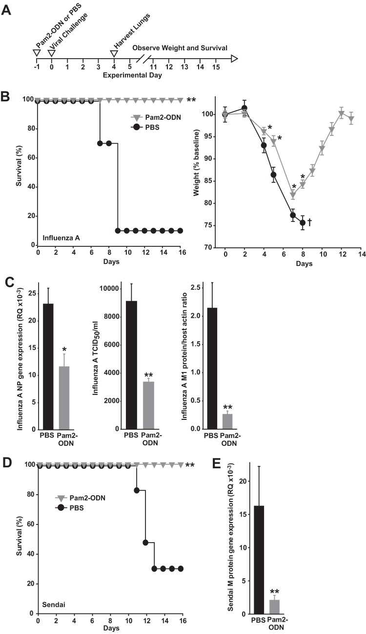 FIG 1 