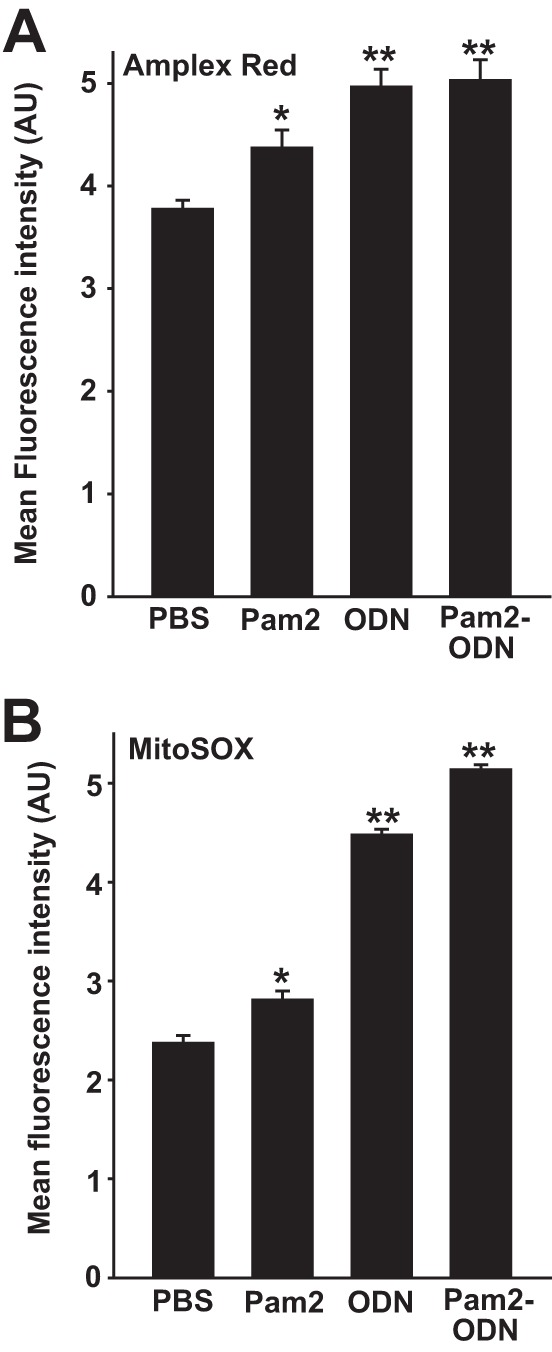 FIG 7 