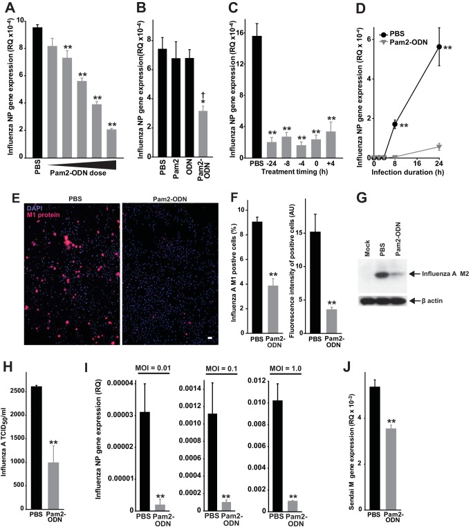 FIG 2 