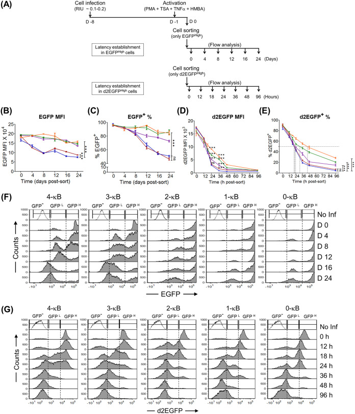 FIG 4