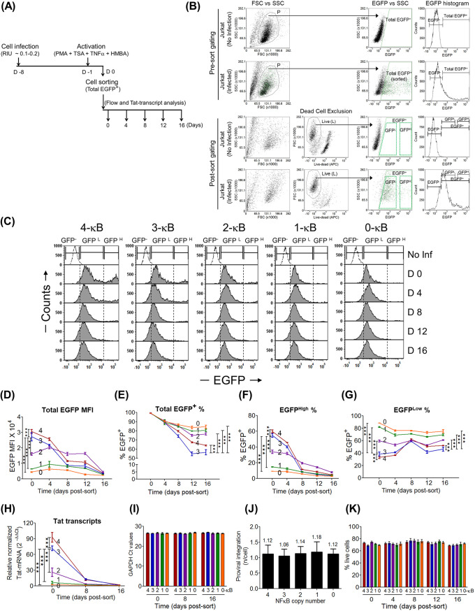 FIG 3