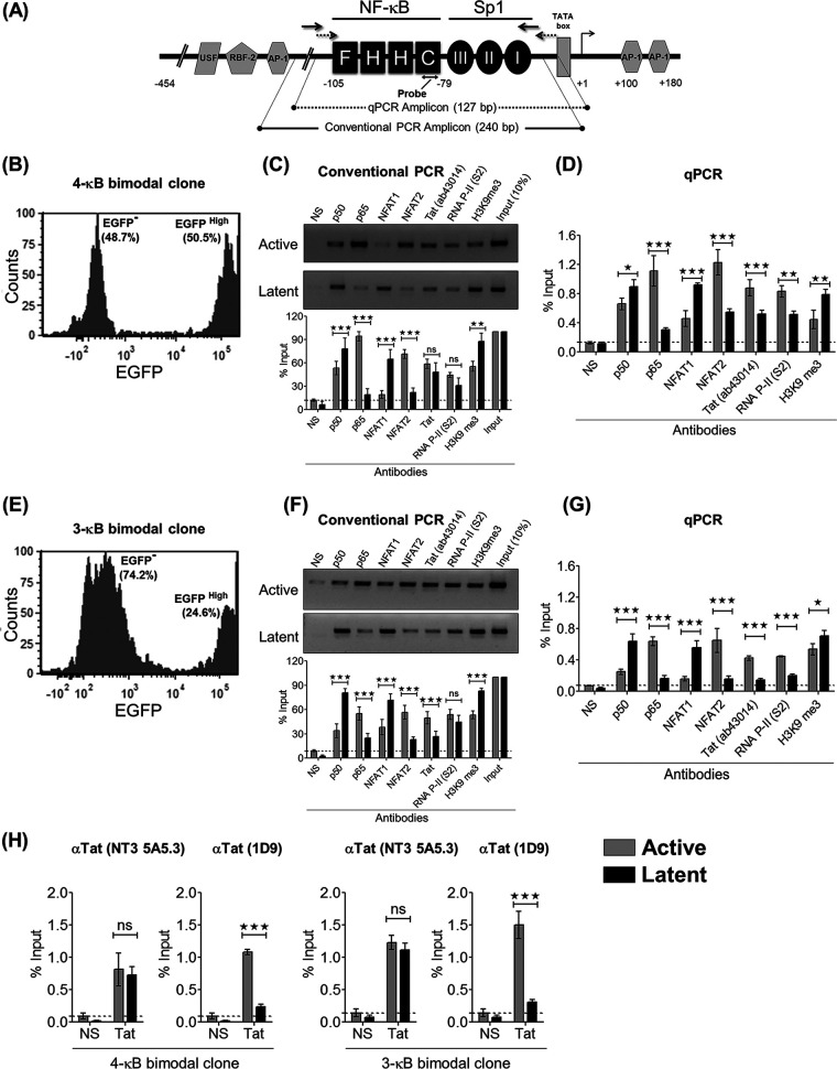 FIG 10