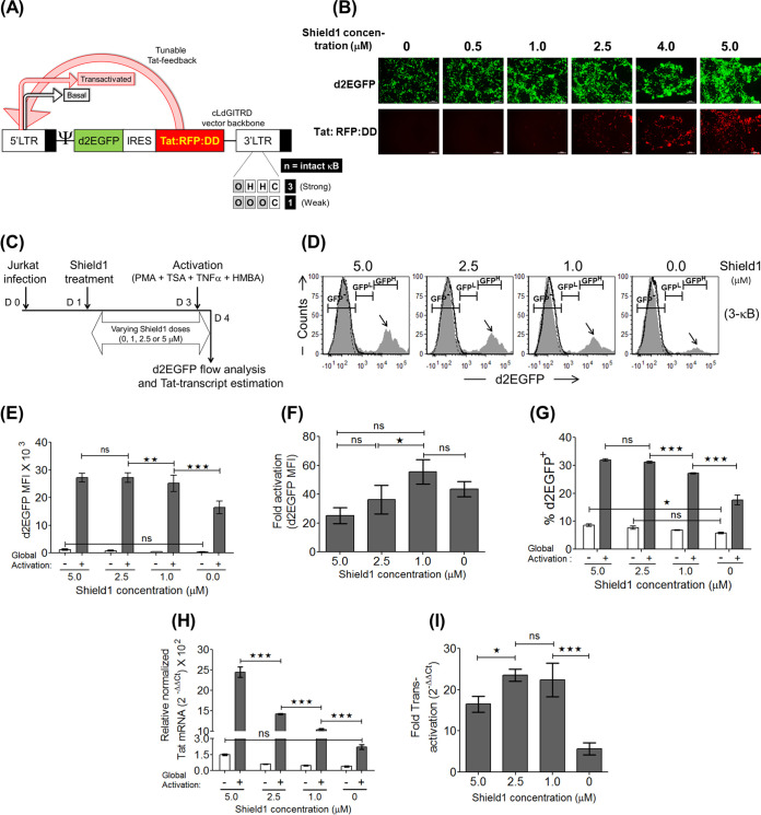 FIG 6