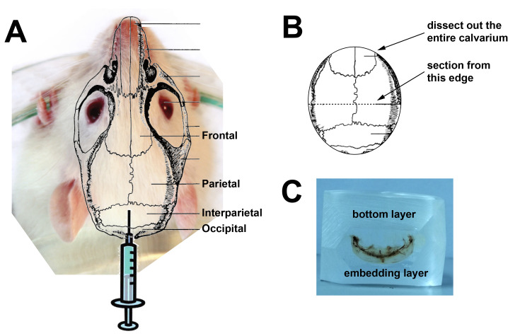 Figure 2.