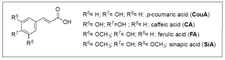 Scheme 3