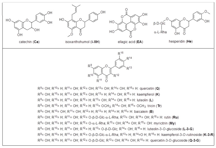 Scheme 5