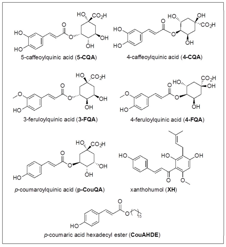 Scheme 4