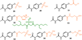 Fig. 10