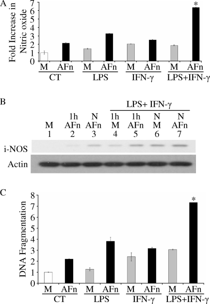 FIG. 6.