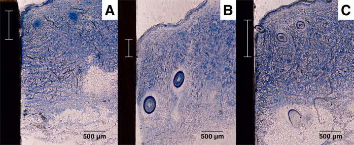 Fig. 14