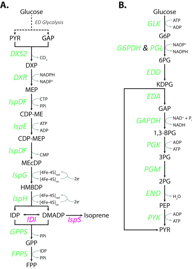 FIG 1